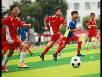 采列VS埃格纳蒂亚直播_采列VS埃格纳蒂亚直播免费观看_埃格纳蒂亚VS采列直播在线观看